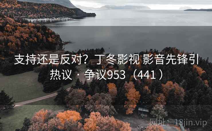 支持还是反对？丁冬影视 影音先锋引热议 · 争议953（441 ）