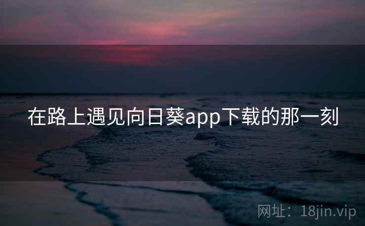 在路上遇见向日葵app下载的那一刻