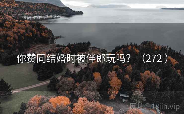 你赞同结婚时被伴郎玩吗?(272 )