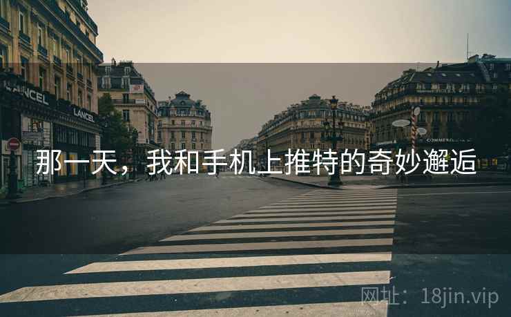 那一天,我和手机上推特的奇妙邂逅